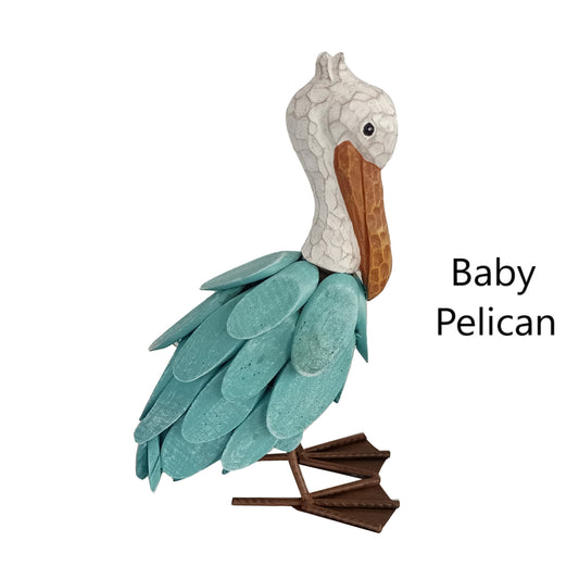 Baby Pelican