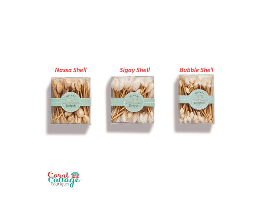Seashell Hors D'Oeuvre Picks in Gift Box Assorted 3 Styles