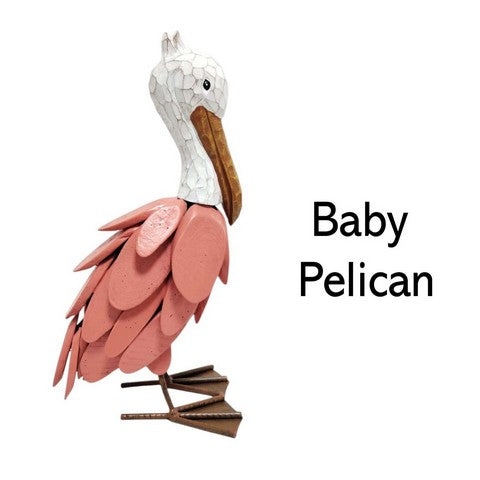 Baby Pelican - Coral