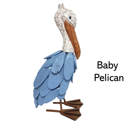Baby Pelican