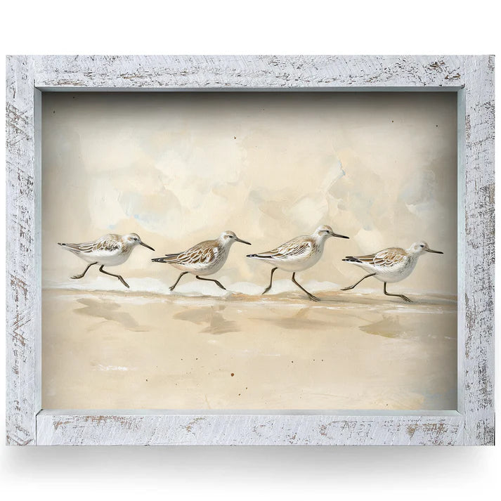 Sandpiper Parade Artwork - HORIZONTAL