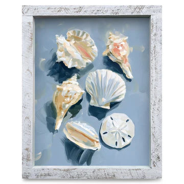 Collected Shells Artwork