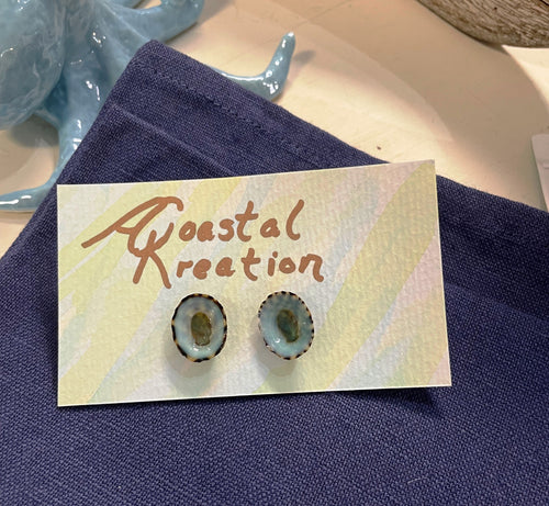 Limpet Shell Earrings