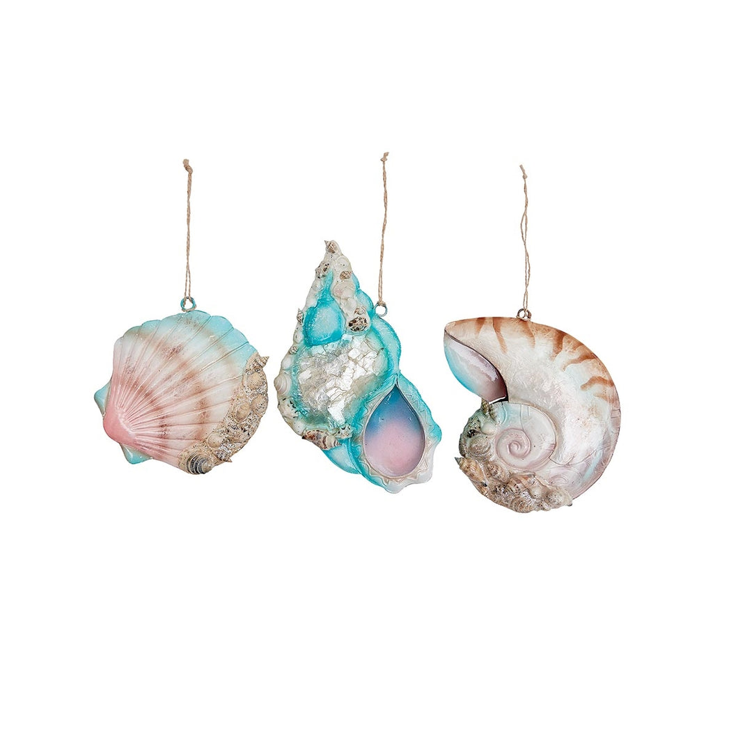 Coral Reef Shell Ornament