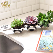 Load image into Gallery viewer, Happy Everything Trio Bowl - Black Stripe