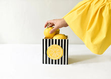 Load image into Gallery viewer, Happy Everything Medium Nesting Cube - Black Stripe
